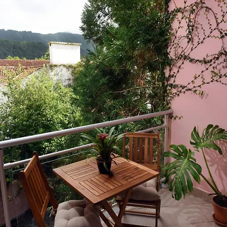 Flamingo Furnas (Azores)