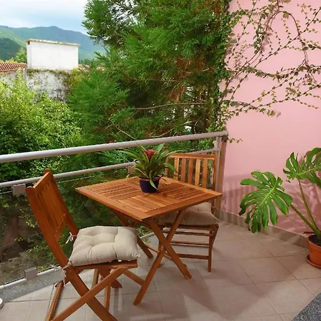 Flamingo * Furnas (Azores)